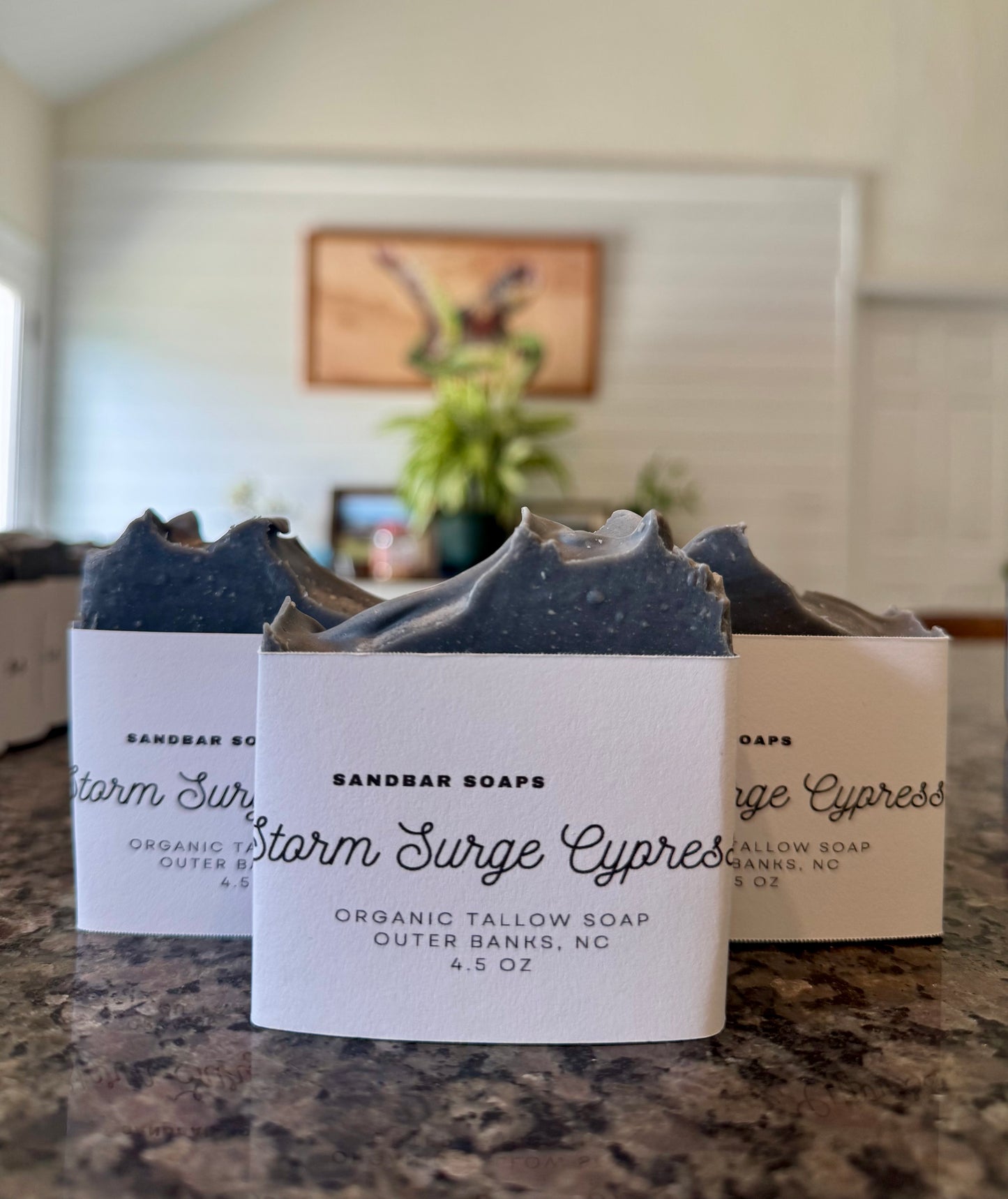 Storm Surge Cypress